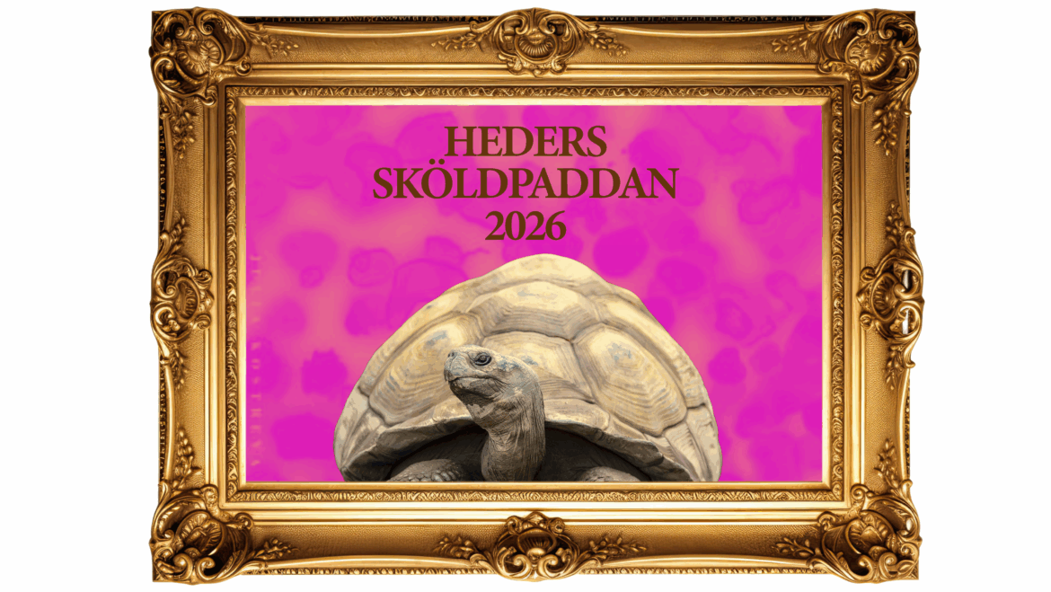 Nominera din idol till Hederssköldpaddan